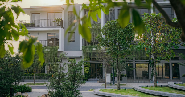 The Standard (An Gia) - lựa chọn của nhà đầu tư thông minh