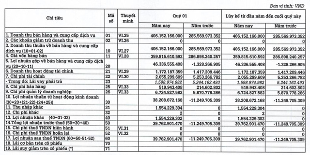 Thép Đà Nẵng (DNS): Quý 1 lãi 40 tỷ đồng hoàn thành 89% kế hoạch cả năm 2021 - Ảnh 1.