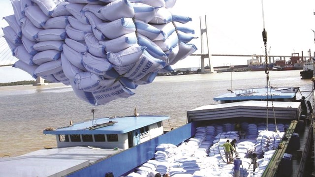 Thị trường ASEAN: Tiềm năng lớn cho xuất khẩu gạo Việt