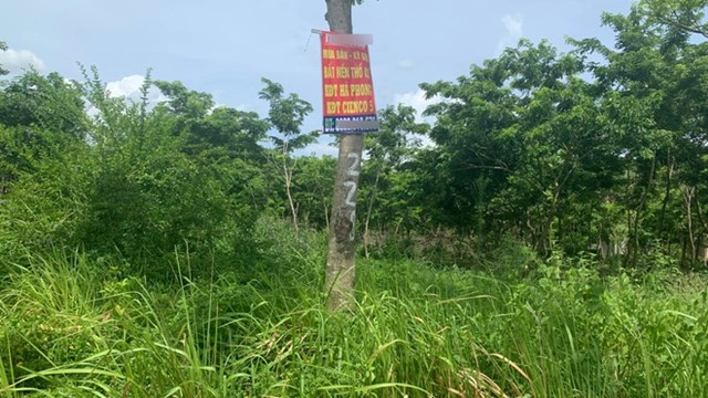 Thị trường đất ven đô Hà Nội sau đỉnh sốt