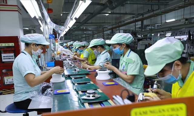 thi-truong-lao-dong-hoi-phuc-manh-me_1.png thi-truong-lao-dong-hoi-phuc-manh-me_1.png