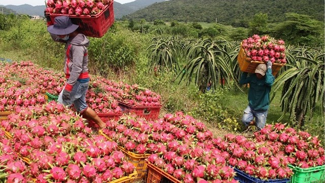 Thị trường nội địa vẫn là đầu ra tốt cho nông sản