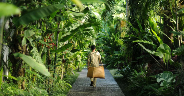 Thiên đường nghỉ dưỡng Bali giữa lòng Ecopark