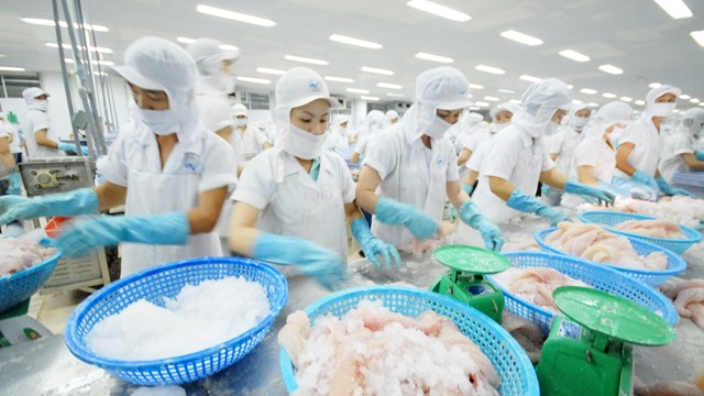 Thờ ơ với bảo hộ nhãn hiệu: Doanh nghiệp sẽ mất thị trường