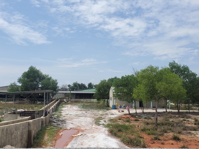 thua-thi234n-hue-doanh-nghiep-nu244i-heo-g226y-244-nhiem-bi-phat-gan-230-trieu-dong_1.jpg