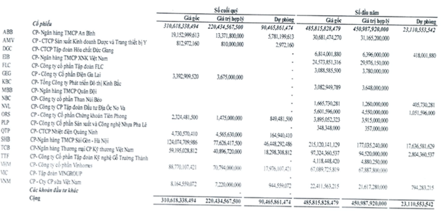 thua-tran-tr234n-thi-truong-chung-kho225n-ndn-lan-dau-b225o-lo_1.png