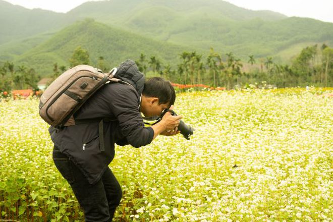 Thung lũng ‘hoa Tây Bắc’ khoe sắc tại miền Trung thu hút hàng trăm người - ảnh 1