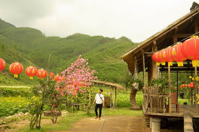 Thung lũng ‘hoa Tây Bắc’ khoe sắc tại miền Trung thu hút hàng trăm người - ảnh 7