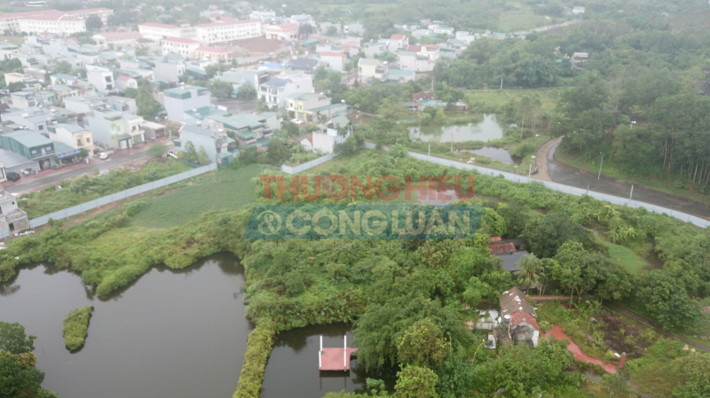 ...mọc đầy cỏ dại... ...mọc đầy cỏ dại...