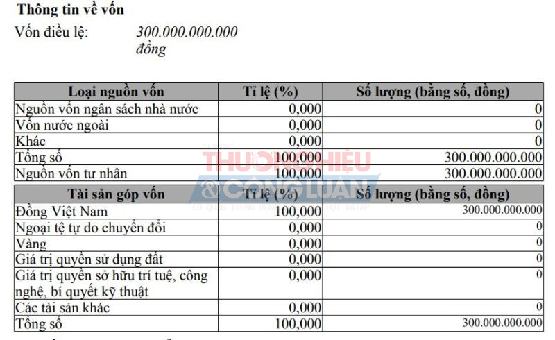 Công ty Việt Hoa có vốn điều lệ đạt 300 tỷ đồng, cơ cấu cổ đông không được tiết lộ. (Ảnh chụp màn hình)