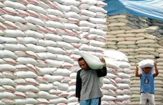 Tiềm năng xuất khẩu gạo sang thị trường Senegal 