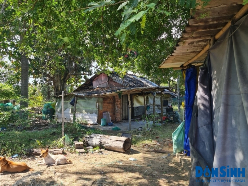 Căn nhà ông Phạm Văn Tòng ở Tổ 5, thôn Tiến Bình, xã Tiến Thanh không thể đổ được xe cát để sửa chữa, nhà sập bất cứ lúc nào