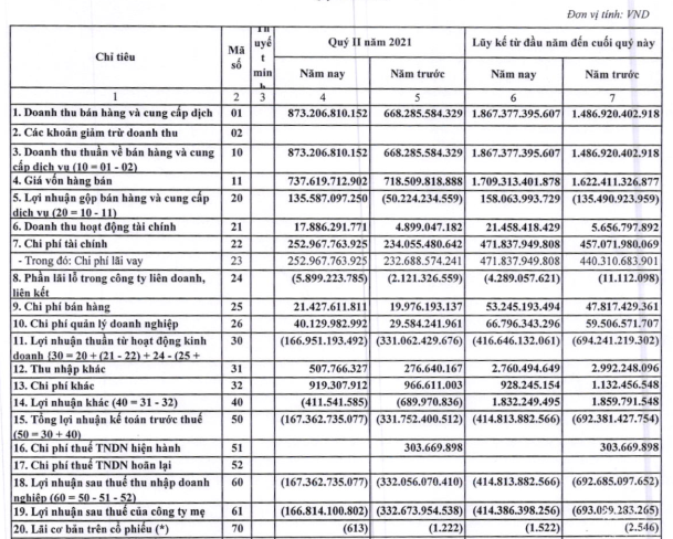 Tiếp tục thua lỗ 167 tỷ đồng trong quý 2/2021, Đạm Hà Bắc (DHB) nâng lỗ lũy kế lên hơn 5.000 tỷ đồng - Ảnh 1.