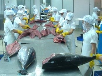 Tin vui: Sản phẩm cá ngừ được xuất khẩu sang 80 thị trường, có nhiều thị trường 