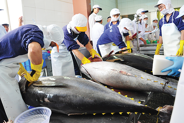 Tin vui: Sản phẩm cá ngừ được xuất khẩu sang 80 thị trường, có nhiều thị trường 