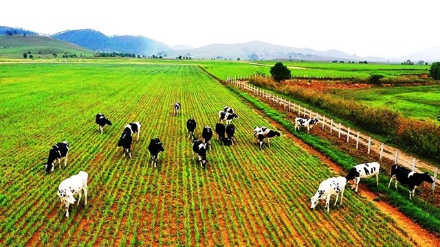 Tổng vốn đầu tư ra nước ngoài của Việt Nam tăng