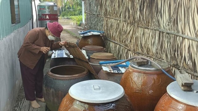 TP HCM có trên 7.000 điểm nguy cơ có lăng quăng