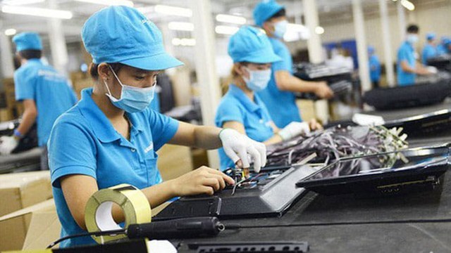 TP HCM: Doanh nghiệp thành lập mới tăng cao