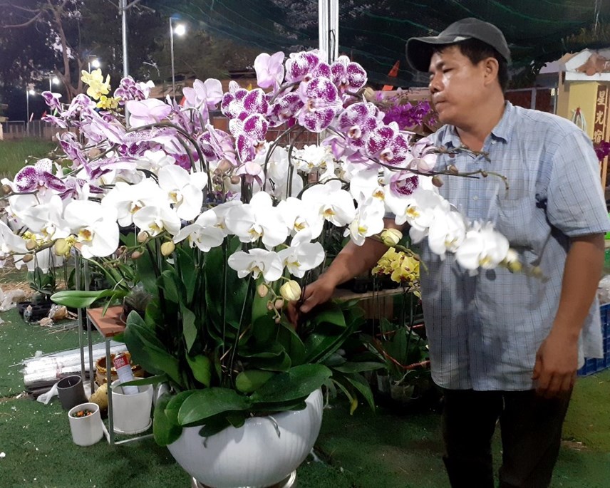tp-hcm-pho-phuong-ruc-ro-sac-hoa-tet_10.jpg