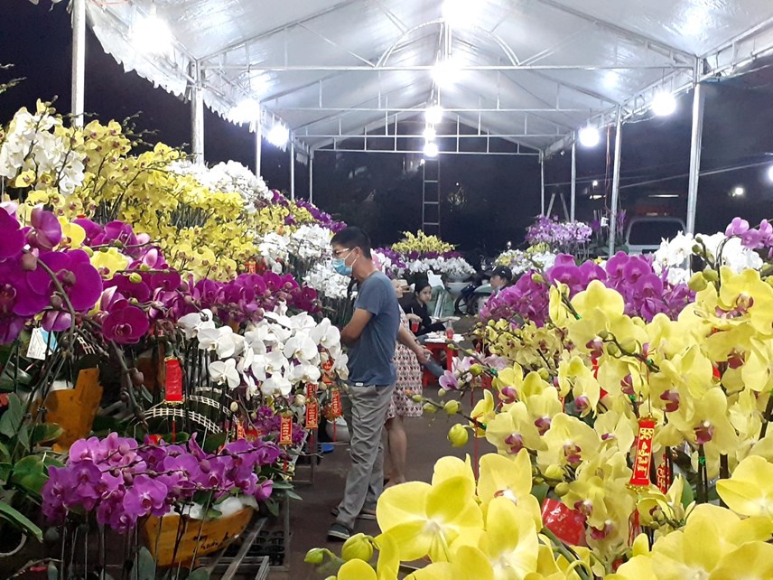 tp-hcm-pho-phuong-ruc-ro-sac-hoa-tet_5.jpg