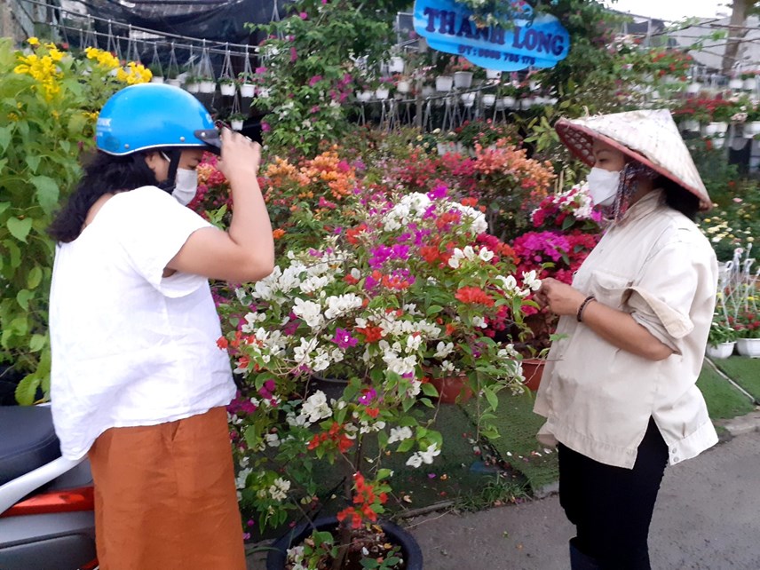 tp-hcm-pho-phuong-ruc-ro-sac-hoa-tet_6.jpg