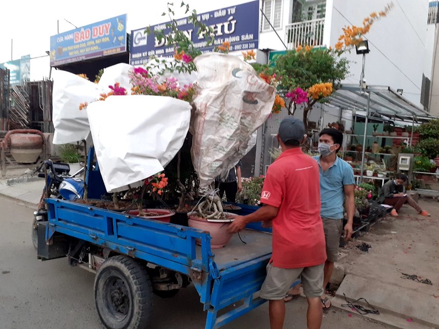 tp-hcm-pho-phuong-ruc-ro-sac-hoa-tet_8.jpg