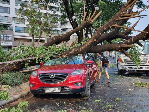 TP.HCM: Cây xanh ngã đổ ra đường, đè trúng tài xế Gojek đang chở khách nữ lưu thông - Ảnh 4.