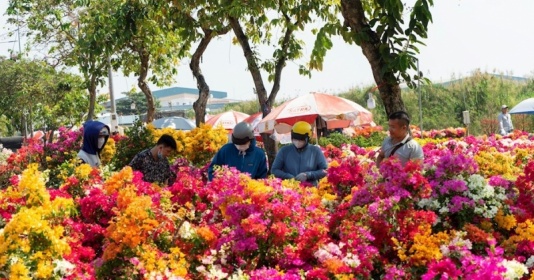 TP.HCM: Khai mạc Chợ hoa xuân Bình Điền năm 2023