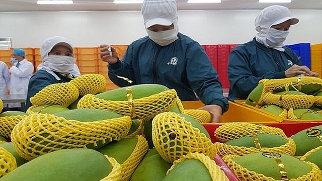 Trái cây lo ách tắc cuối năm
