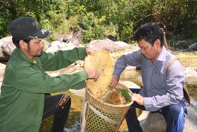 Sáp mật ong
