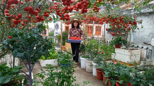 Trào lưu second-home trên nóc sân thượng vạn người mê thời hạn chế đi chợ - Ảnh 10. Trào lưu second-home trên nóc sân thượng vạn người mê thời hạn chế đi chợ - Ảnh 10.