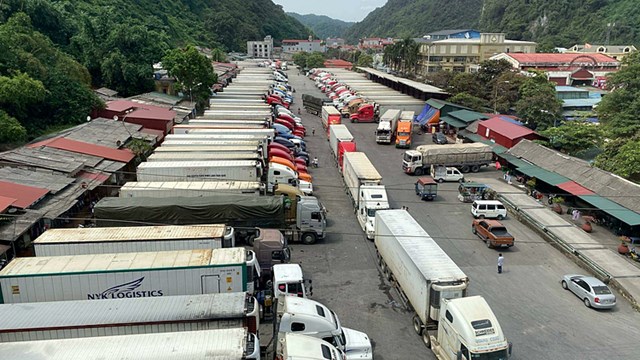 Triển khai nhiều chính sách gỡ khó cho doanh nghiệp, người dân