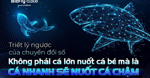 Triết lý ngược của chuyển đổi số: Không phải cá lớn nuốt cá bé mà là cá nhanh sẽ nuốt cá chậm