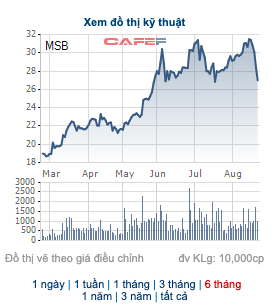 Trước khi thị trường lao dốc, một nhà đầu tư lớn đã mua hơn 6 triệu cổ phiếu MSB - Ảnh 1.