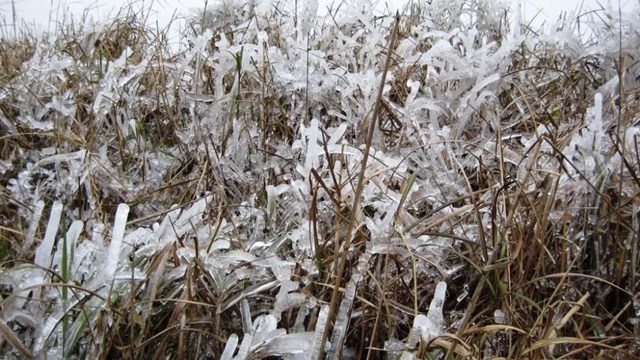 Từ 26/12, Bắc Bộ rét đậm, vùng núi rét hại khả năng có băng giá