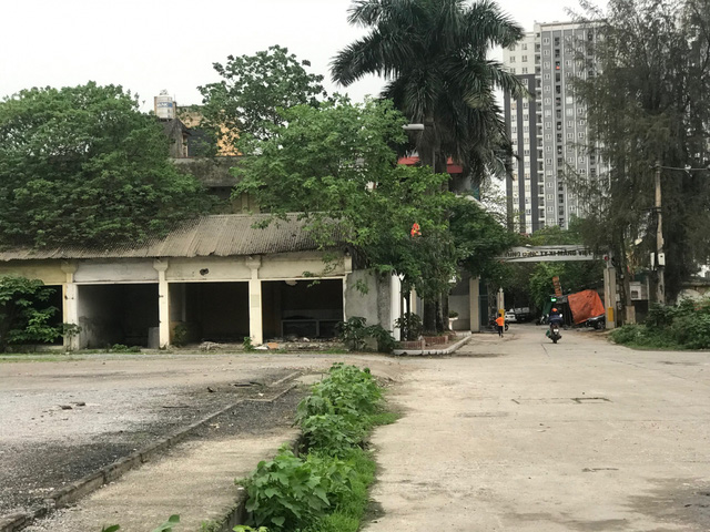 Từ cao ốc “xác khô” đến hơn 50.000m2 “đất vàng” bỏ hoang, dùng sai mục đích của VICEM - Ảnh 6. Từ cao ốc “xác khô” đến hơn 50.000m2 “đất vàng” bỏ hoang, dùng sai mục đích của VICEM - Ảnh 6.
