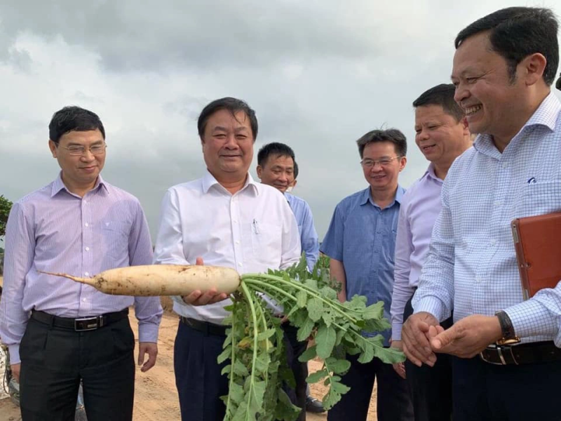 Bộ trưởng Bộ NNPTNT Lê Minh Hoan được biết đến là người có nhiều kiến thiết cho phát triển nông nghiệp ở Đồng Tháp khi còn làm Bí thư Tỉnh ủy tại đây. (Ảnh: