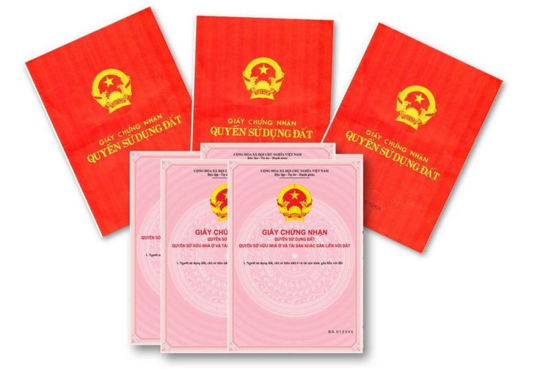 Ảnh minh hoạ Ảnh minh hoạ
