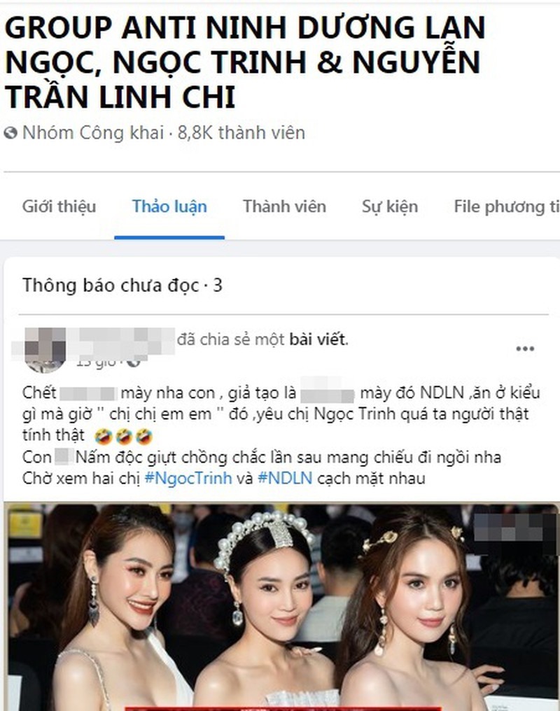 Group anti-fan được lập nên sau ồn ào Linh Chi - Thủy Tiên. Ảnh: CMH.