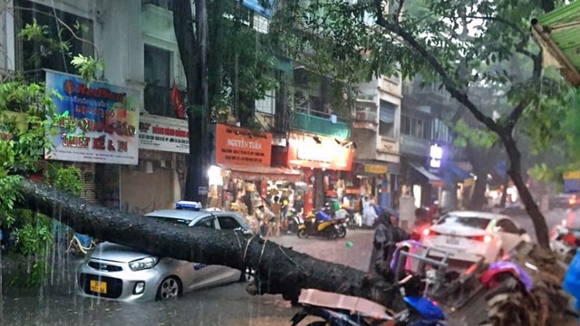 Tuần này, Bắc Bộ liên tục có mưa dông vào chiều tối
