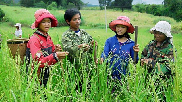 Tỷ lệ giảm nghèo của Việt Nam đầy ấn tượng