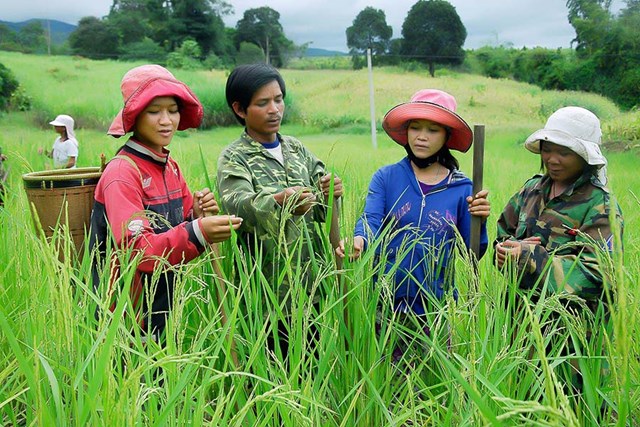 ty-le-giam-ngh232o-cua-viet-nam-day-an-tuong_1.jpg ty-le-giam-ngh232o-cua-viet-nam-day-an-tuong_1.jpg