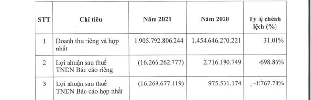 v236-sao-co-phieu-c244ng-ty-co-phan-tap-do224n-th224nh-nam-bi-dua-v224o-dien-canh-b225o_1.jpg