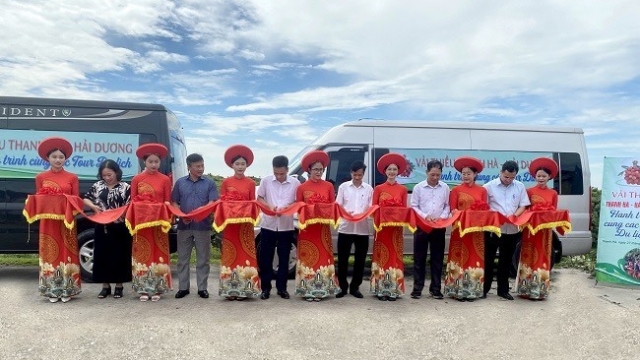 Vải thiều Thanh Hà, Hải Dương - Hành trình cùng các tour du lịch