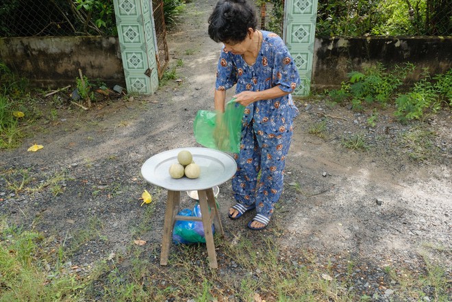 Về miền Tây thưởng thức trái quách có người quay mặt đi vì quá nồng nàn - ảnh 3