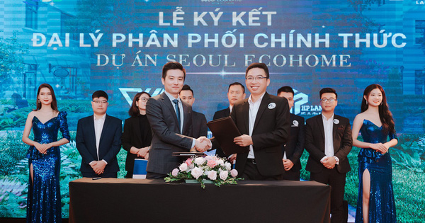 VHA Group – Đơn vị cung cấp giải pháp toàn diện phát triển kinh doanh một dự án BĐS