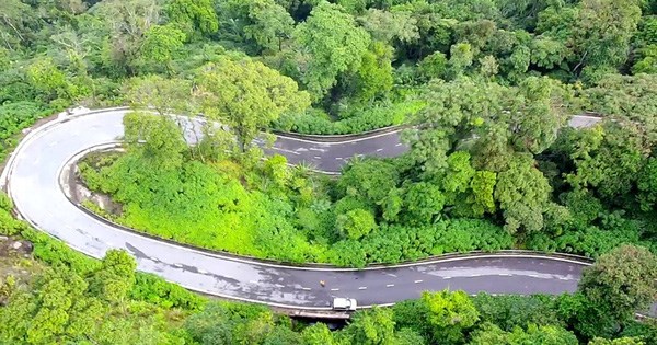 Việt Nam -  Colombia: Hợp tác phát triển du lịch sinh thái