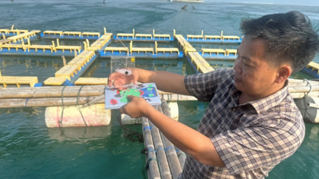 Việt Nam – Indonesia hợp tác đầu tư nuôi tôm hùm