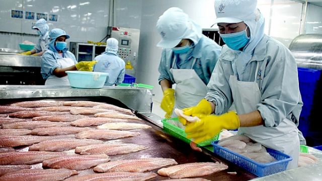 Việt Nam trở thành nhà cung cấp tôm cá lớn thứ hai của Mỹ