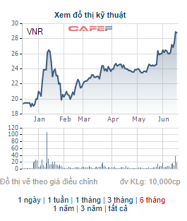 Vinare (VNR) chi 200 tỷ đồng trả cổ tức tỷ lệ 15%, cổ phiếu VNR tăng 45% từ đầu năm - Ảnh 2. Vinare (VNR) chi 200 tỷ đồng trả cổ tức tỷ lệ 15%, cổ phiếu VNR tăng 45% từ đầu năm - Ảnh 2.